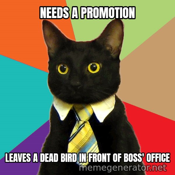 Business Cat meme: Needs a promotion / leaves a dead bird in front of boss' office