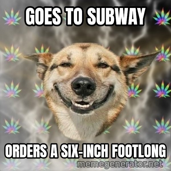 Stoner Dog meme: goes to subway / orders a six-inch footlong
