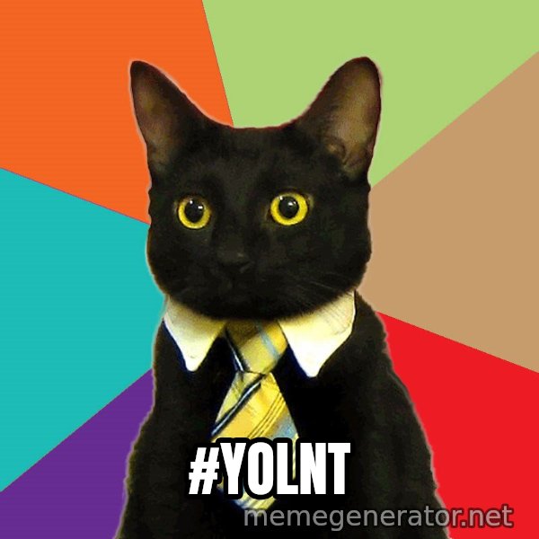 Business Cat meme: #YOLNT