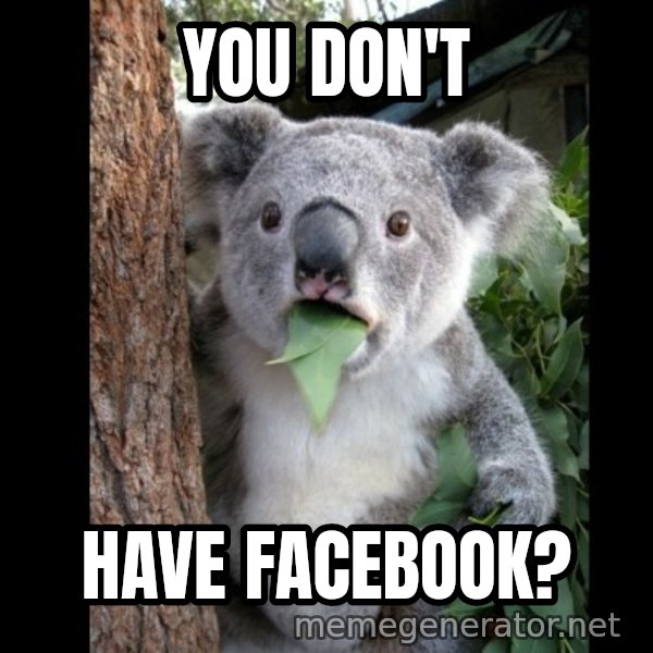 Koala can't believe it meme: you don't / have facebook?
