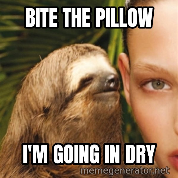 The Rape Sloth meme: bite the pillow / i'm going in dry
