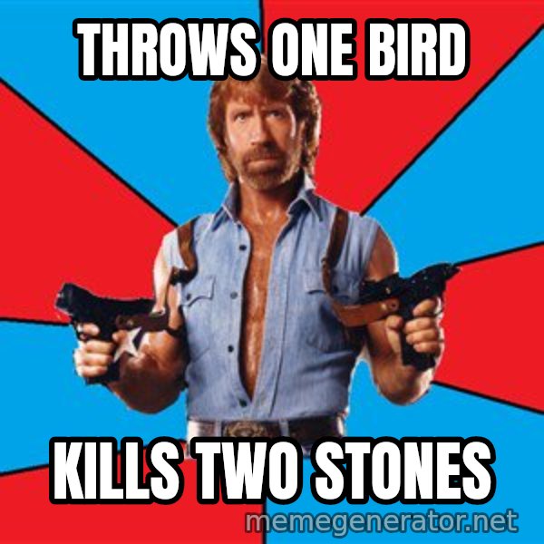 Chuck Norris  meme: throws one bird / kills two stones