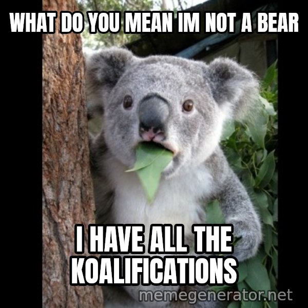 Koala can't believe it meme: What do you mean im not a bear / I have all the Koalifications