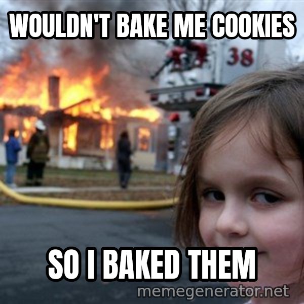 Disaster Girl meme: wouldn't bake me cookies / so i baked them