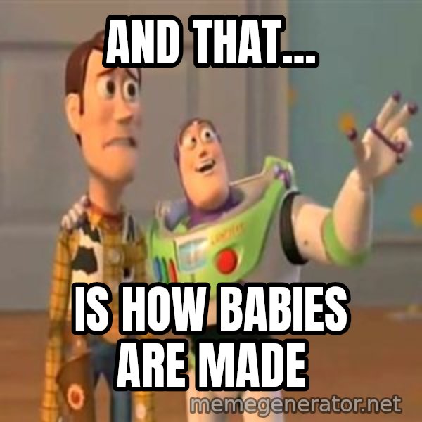 X, X Everywhere  meme: And that... / is how babies are made