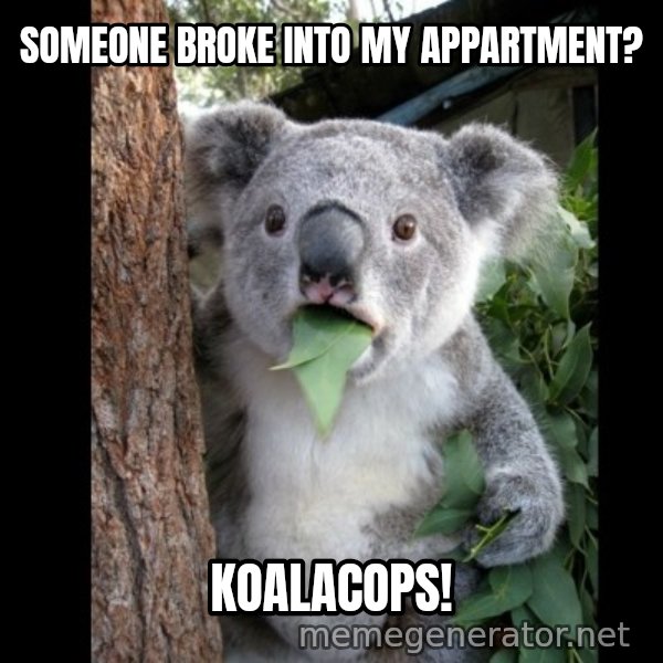 Koala can't believe it meme: Someone broke into my appartment? / Koalacops!