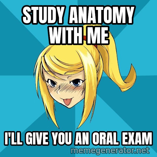 Horney Samus meme: Study anatomy with me / I'll give you an oral exam