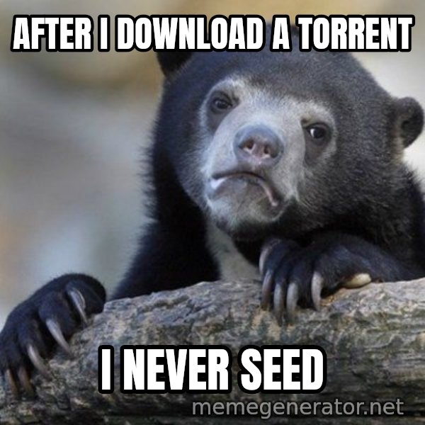 Confession Bear meme: AFter i download a torrent / i never seed