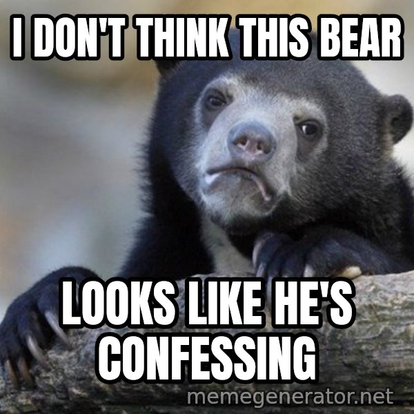 Confession Bear meme: I don't think this bear / looks like he's confessing