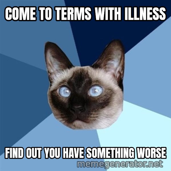 Chronic Illness Cat meme: come to terms with illness / find out you have something worse