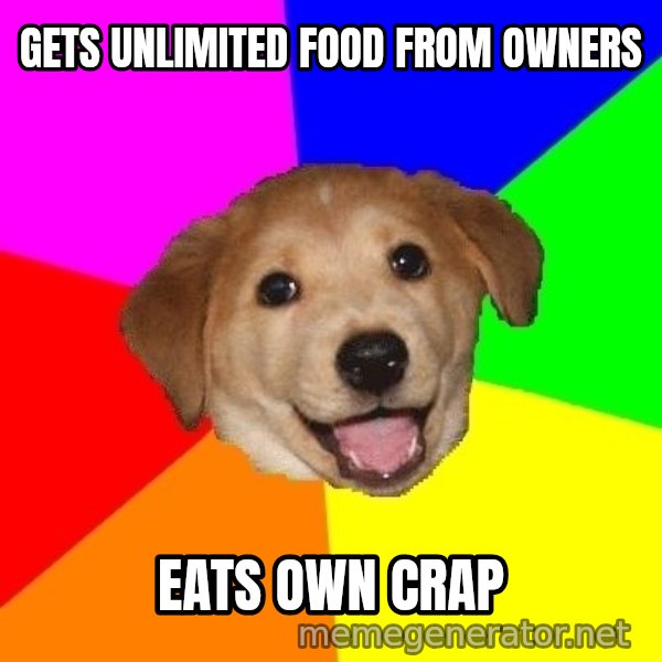 Advice Dog meme: Gets unlimited food from owners / eats own crap