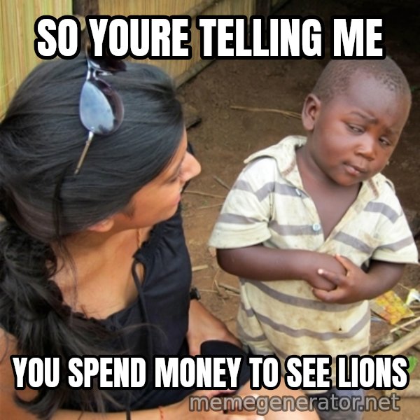 So You're Telling me meme: so youre telling me / you spend money to see lions