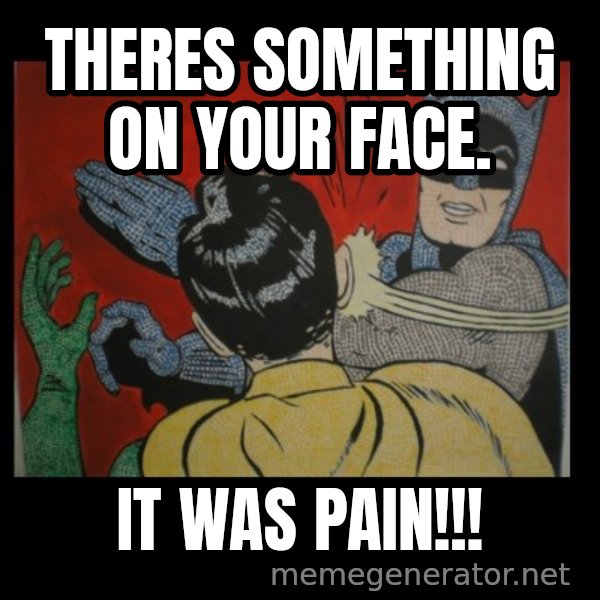 batman slap robin meme: Theres something on your face. / It WAS PAin!!!