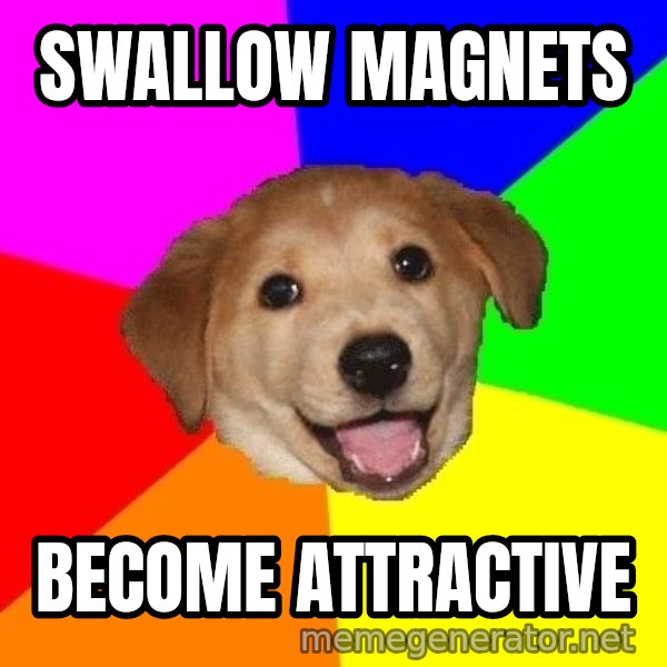 Advice Dog meme: Swallow magnets / Become attractive