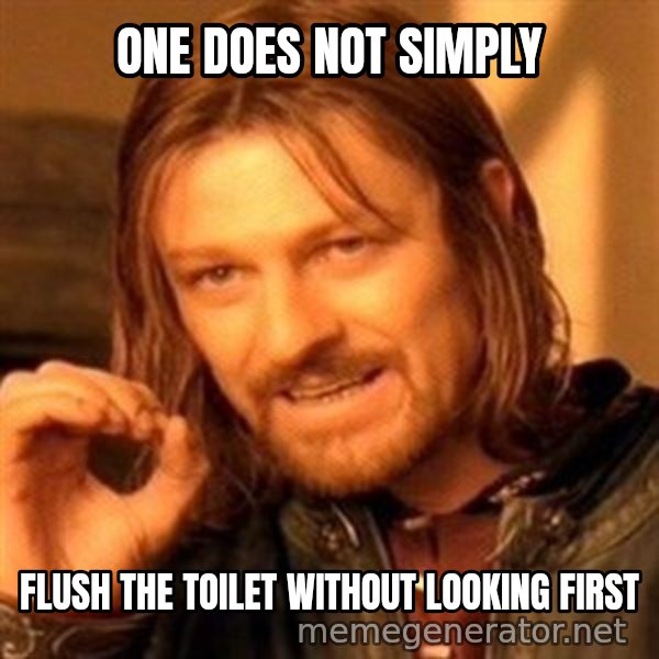 One Does Not Simply meme: one does not simply / flush the toilet without looking first