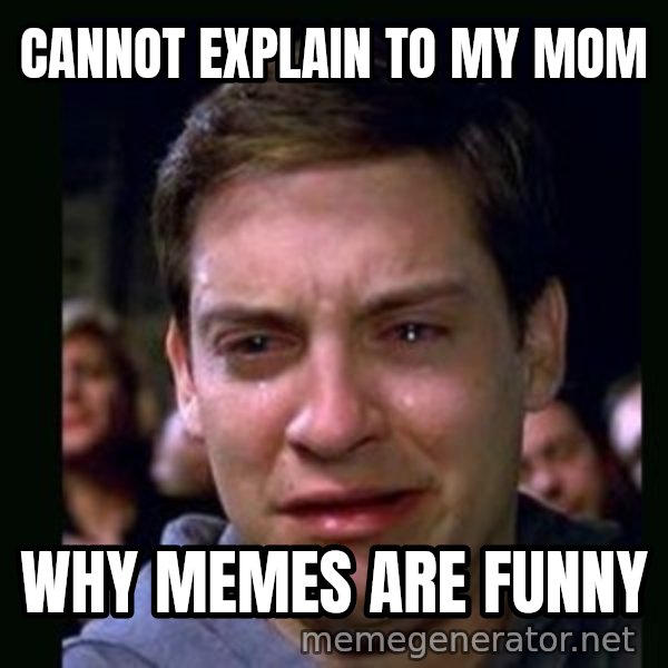 crying peter parker meme: cannot explain to my mom / why memes are funny