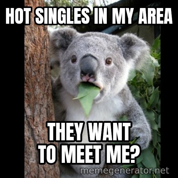 Koala can't believe it meme: Hot singles in my area / they want to meet me?