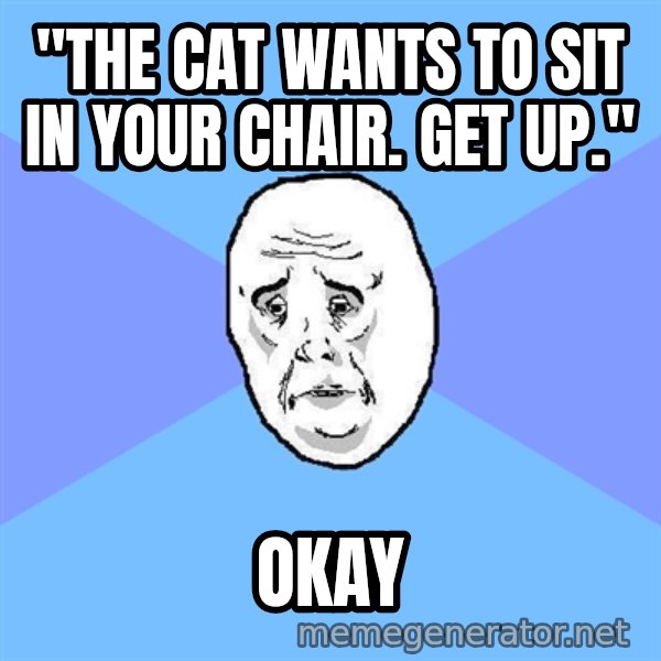 Okay Guy meme: "the cat wants to sit in your chair.  get up." / okay