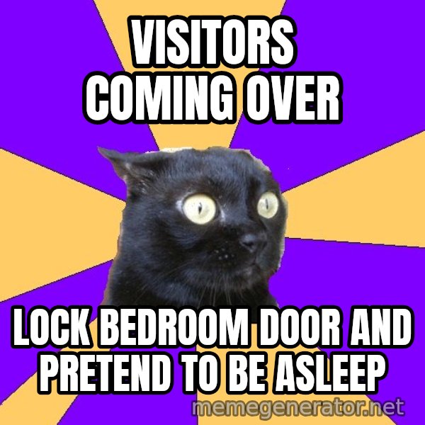 Anxiety Cat meme: Visitors coming over / lock bedroom door and pretend to be asleep