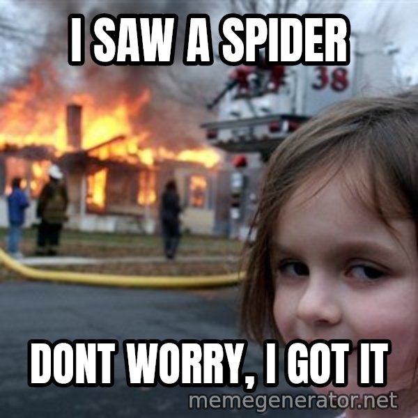 Disaster Girl meme: i saw a spider / dont worry, i got it