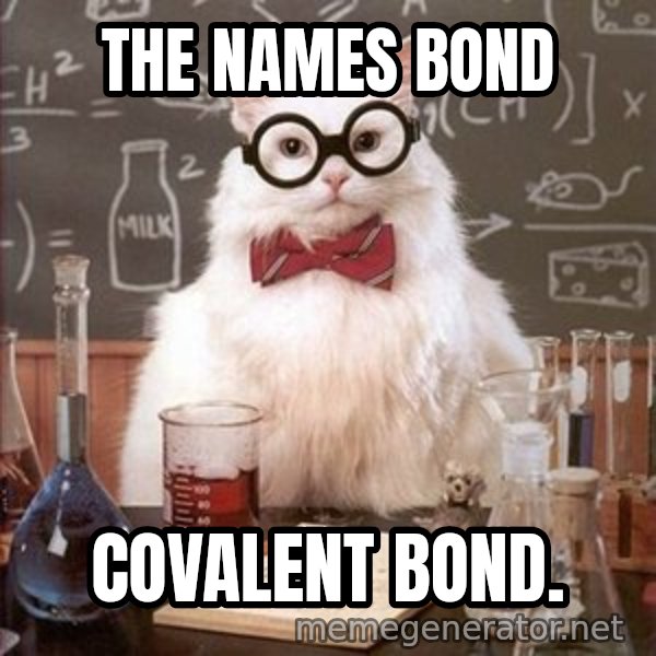 Chemistry Cat meme: The names bond / covalent bond.