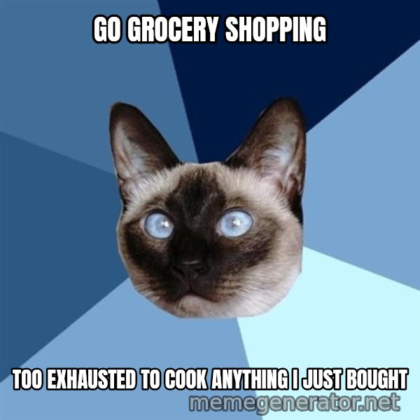 Chronic Illness Cat meme: go grocery shopping / too Exhausted to cook anything I just bought