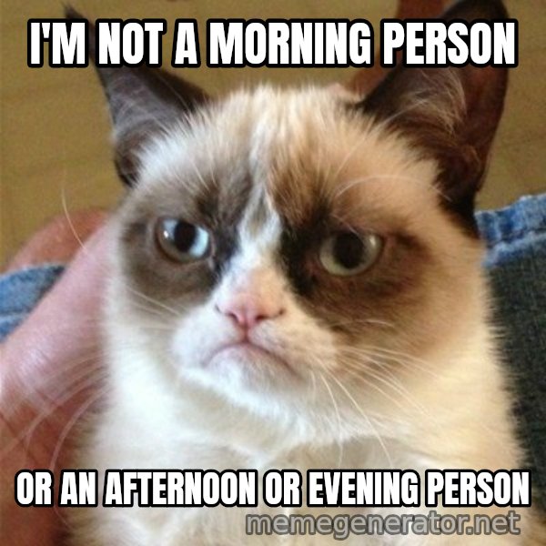 Grumpy Cat  meme: I'm not a morning person / or an afternoon or evening person
