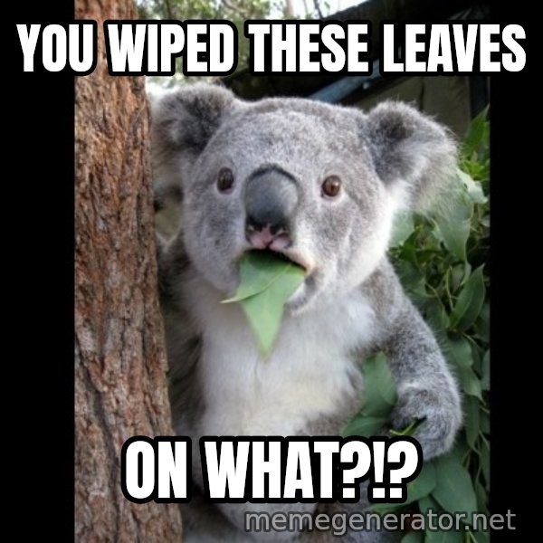 Koala can't believe it meme: You wiped these leaves / on what?!?