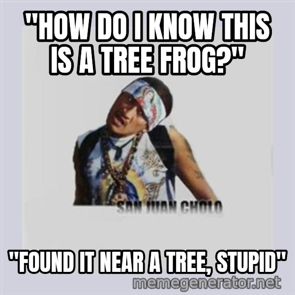 san juan cholo meme: "how do i know this is a tree frog?" / "found it near a tree, stupid"