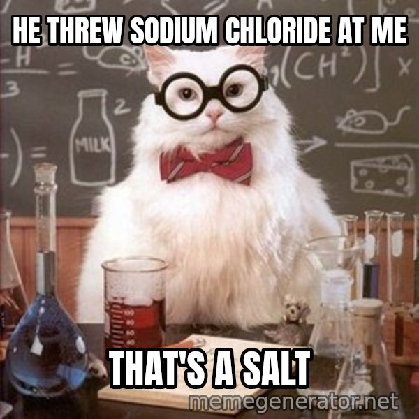 Chemistry Cat meme: he threw sodium chloride at me / that's a salt