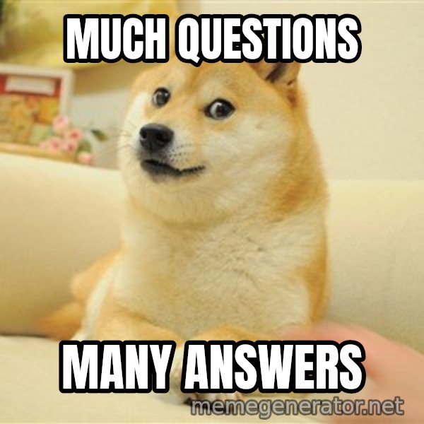 so doge meme: much questions / many answers