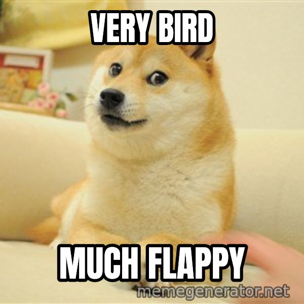 so doge meme: very bird / much flappy