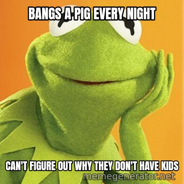 Kermit the frog meme: bangs a pig every night / can't figure out why they don't have kids