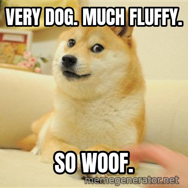 so doge meme: very dog. much fluffy. / so woof.