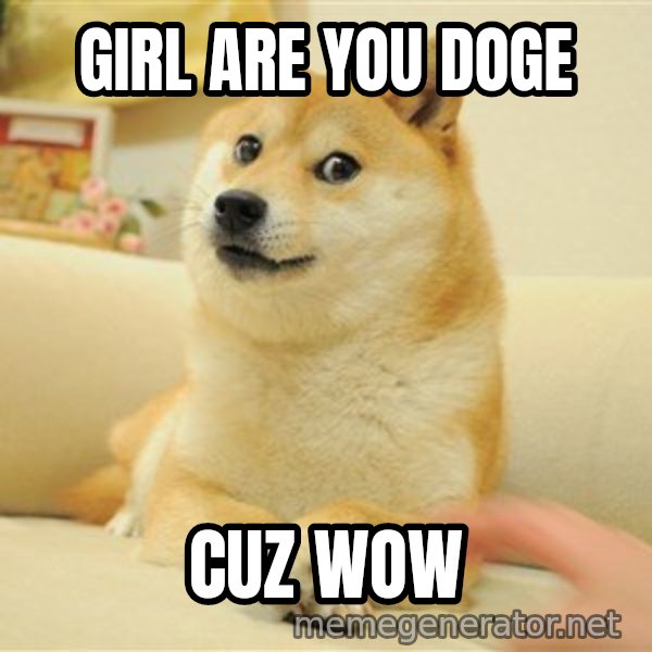 so doge meme: girl are you doge / cuz wow
