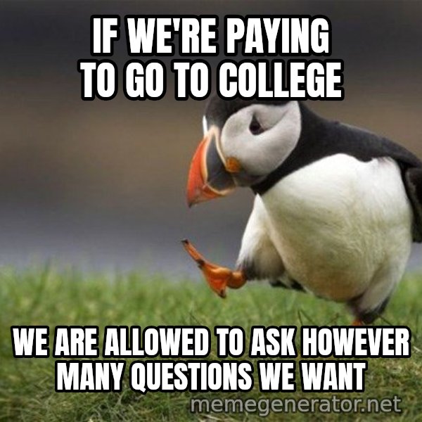 Unpopular Opinion Puffin meme: If we're paying to go to college / We are allowed to ask however many questions we want