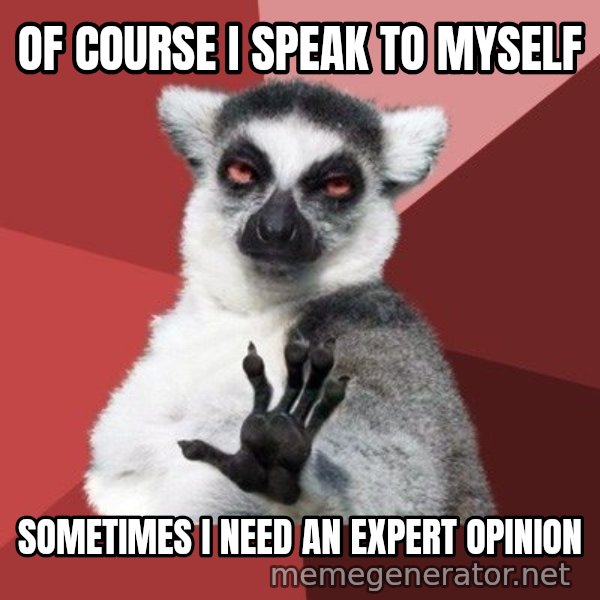 Chill Out Lemur meme: Of course I speak to myself / Sometimes I need an expert opinion