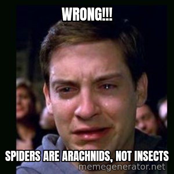 crying peter parker meme: wrong!!! / spiders are arachnids, not insects