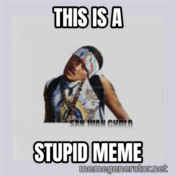 san juan cholo meme: THIS IS A / STUPID MEME