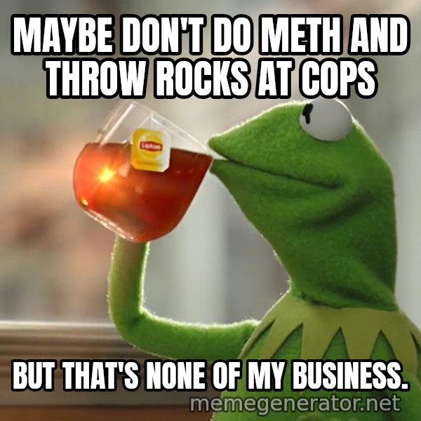 Kermit The Frog Drinking Tea meme: Maybe don't do meth and throw rocks at cops / But that's none of my business.