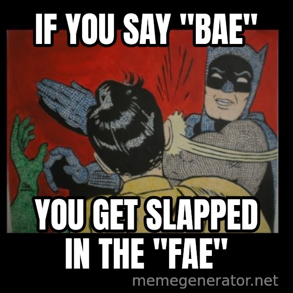 batman slap robin meme: If you say "bae" / you get slapped in the "fae"