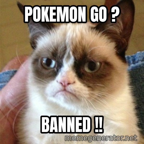 Grumpy Cat  meme: POKEMON GO ? / BANNED !!