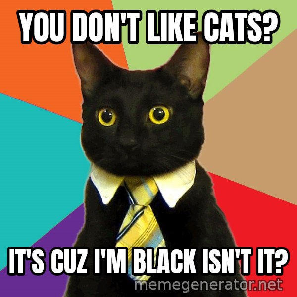 Business Cat meme: you don't like cats? / it's cuz i'm black isn't it?
