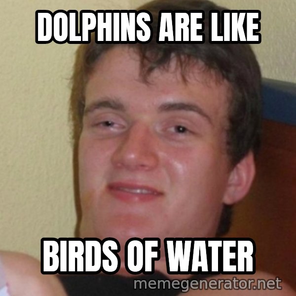 Stoner Stanley meme: dolphins are like / birds of water