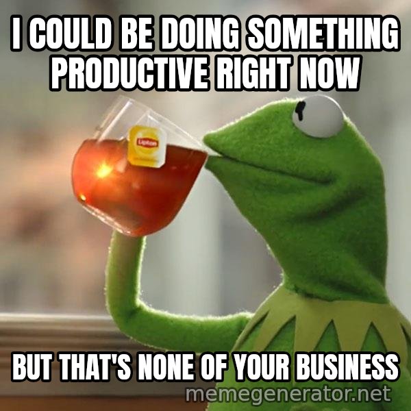 Kermit The Frog Drinking Tea meme: I Could be doing something productive right now / But that's None of your business