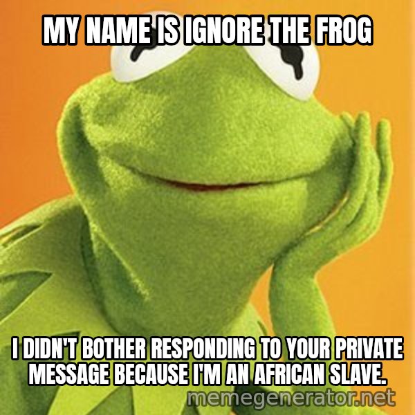 Kermit the frog meme: My name is Ignore the Frog / I didn't bother responding to your private message because                                             I'm an African slave.