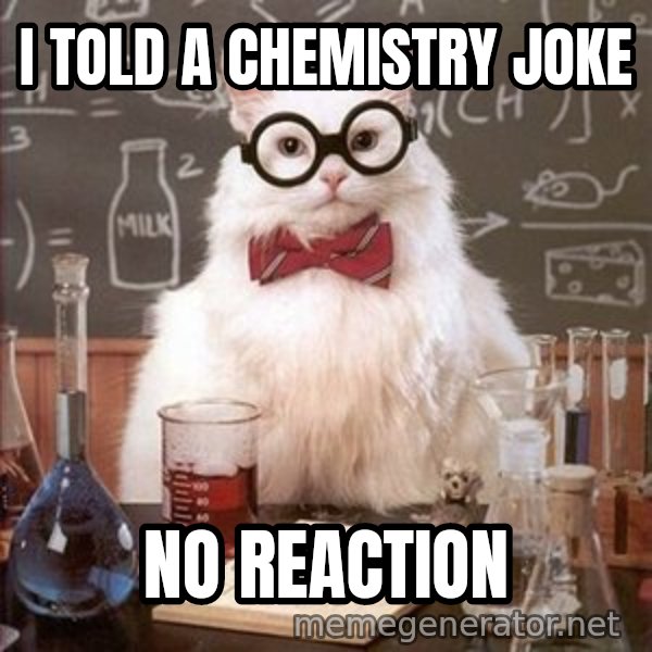 Chemistry Cat meme: I TOLD A CHEMISTRY JOKE / NO REACTION