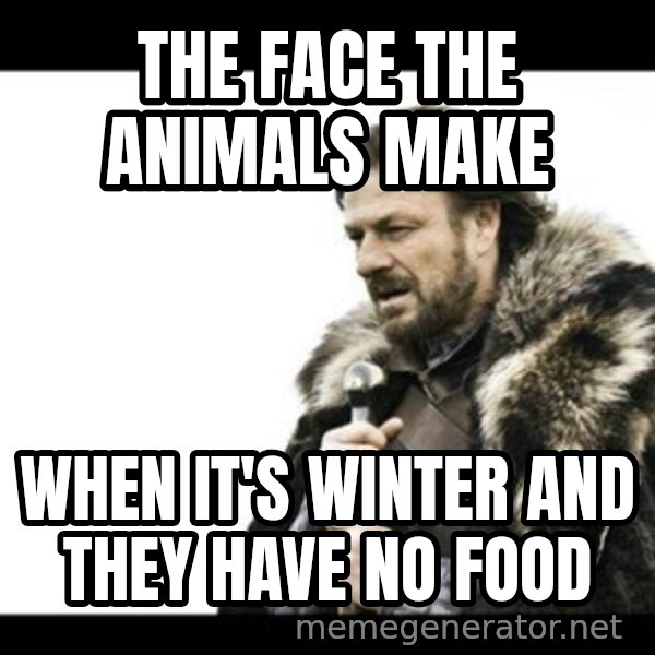 Winter is Coming meme: The face the animals make / when it's winter and they have no food