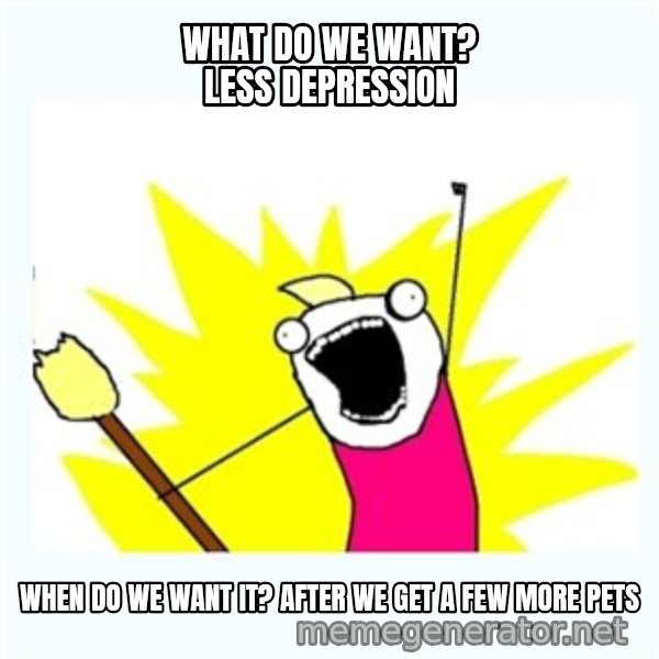 All the things meme: What do we want? LESS DEPRESSION / When do we want it? AFTER WE GET A FEW MORE PETS