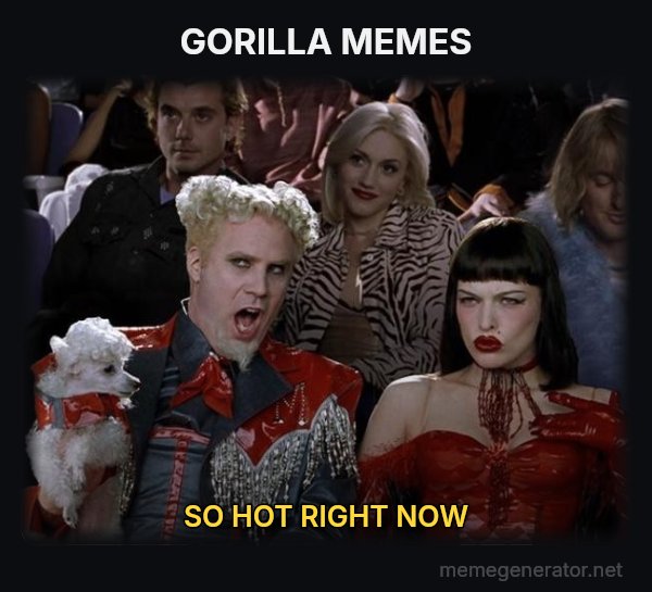 So Hot Right Now meme: GORILLA MEMES / SO HOT RIGHT NOW